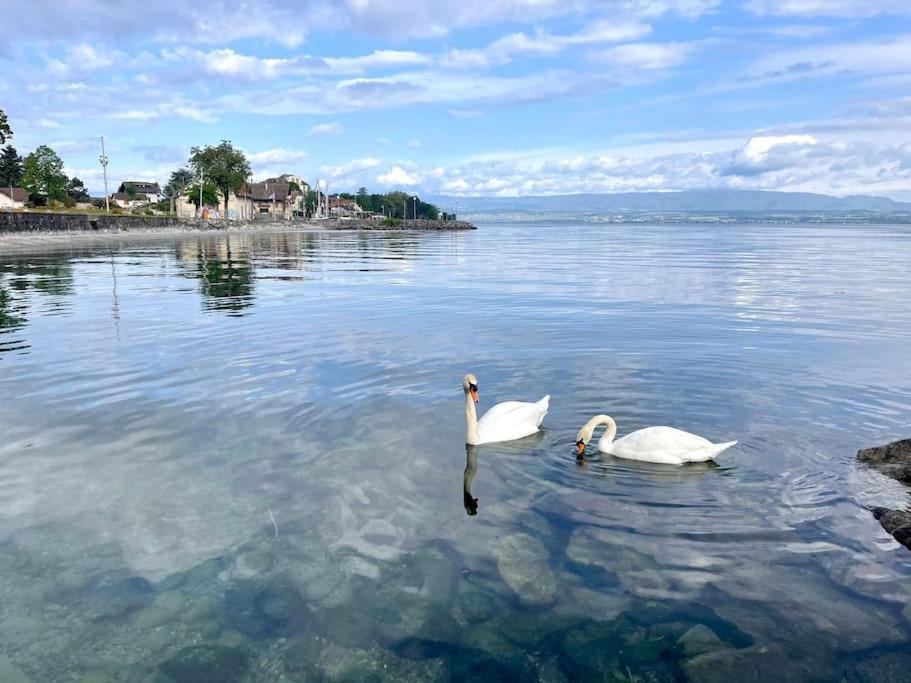 L'Escale Du Leman Apartman Publier Kültér fotó